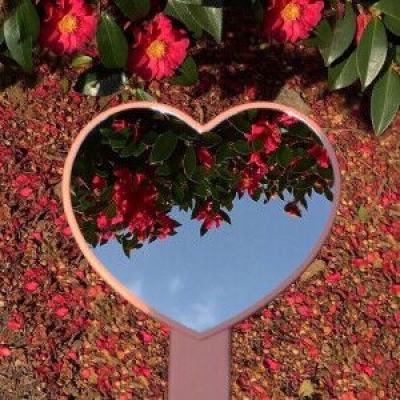 米乐·M6下载手机版截图