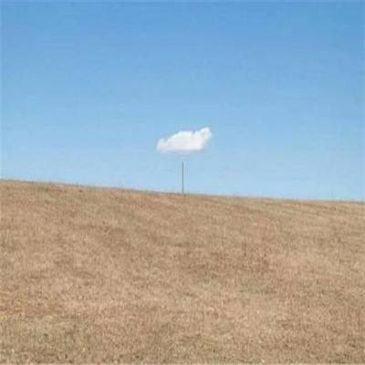 开云网kaiyunapp下载