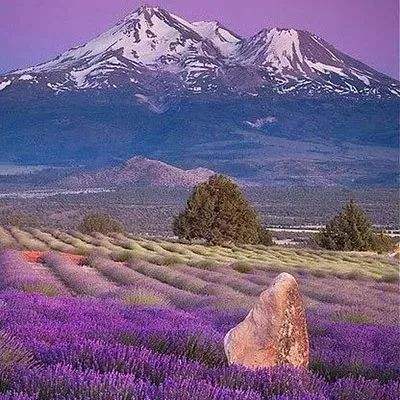 足球下赌注app-登录入口